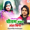 About Pritam Hamar Aha Bina Song